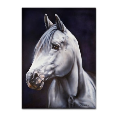 Trademark Fine Art